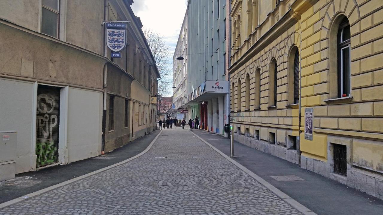 Spacious Central Studio Nika 2 Tour As Любляна Экстерьер фото